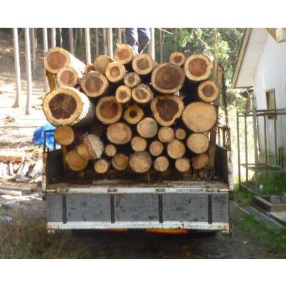 ひのきの丸太原木 無垢材 径15〜18cm×長さ1m 皮むき : じねん工房