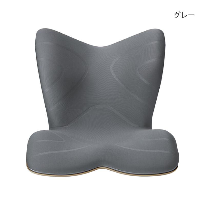 Style（スタイル） 姿勢ケアシート Style PREMIUM プレミアム MTG 骨盤