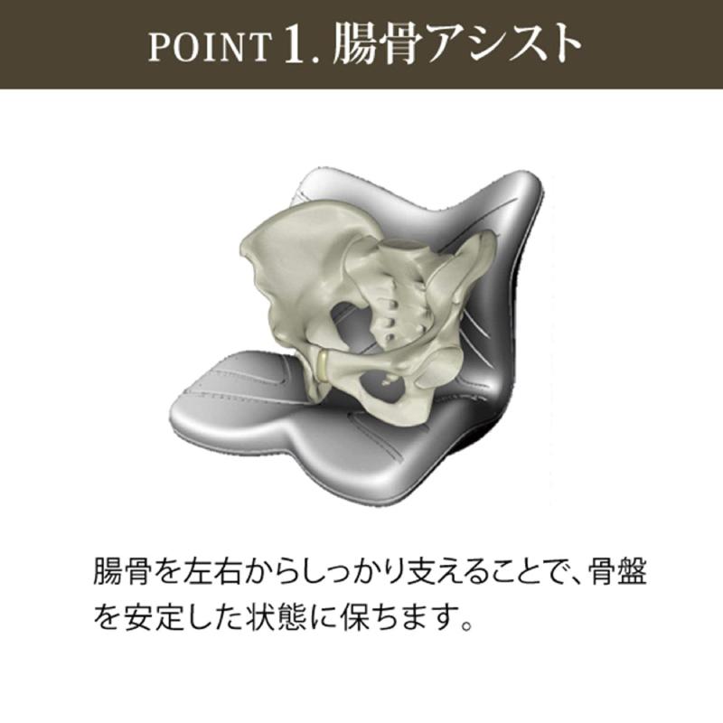 Style（スタイル） 姿勢ケアシート Style PREMIUM プレミアム MTG 骨盤