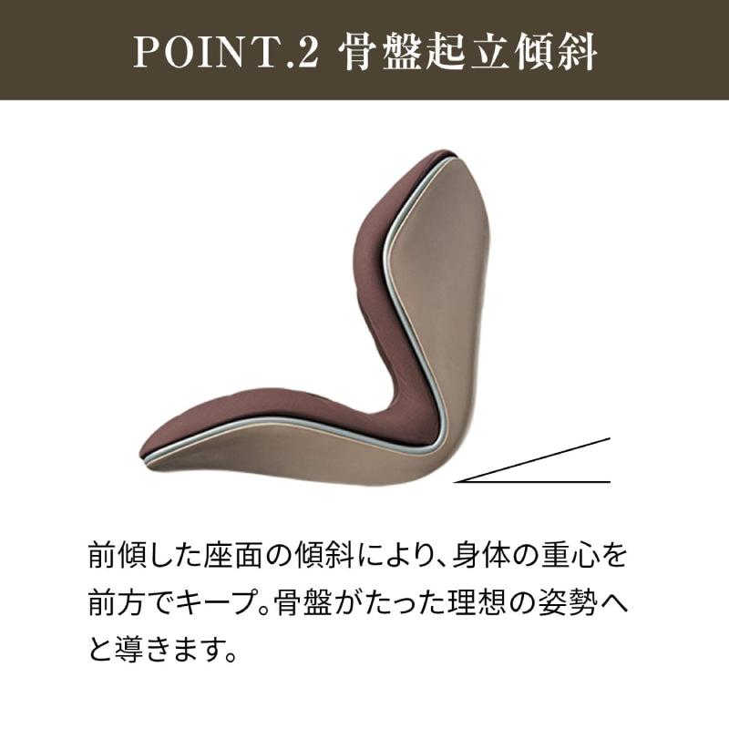 Style（スタイル） 姿勢ケアシート Style PREMIUM プレミアム MTG 骨盤