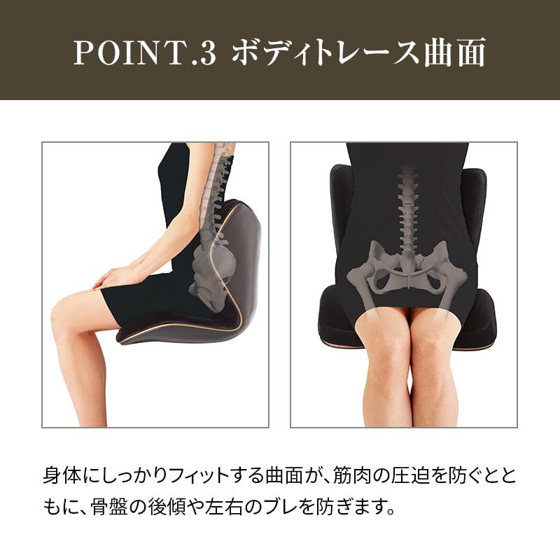 Style（スタイル） 姿勢ケアシート Style PREMIUM DX プレミアム