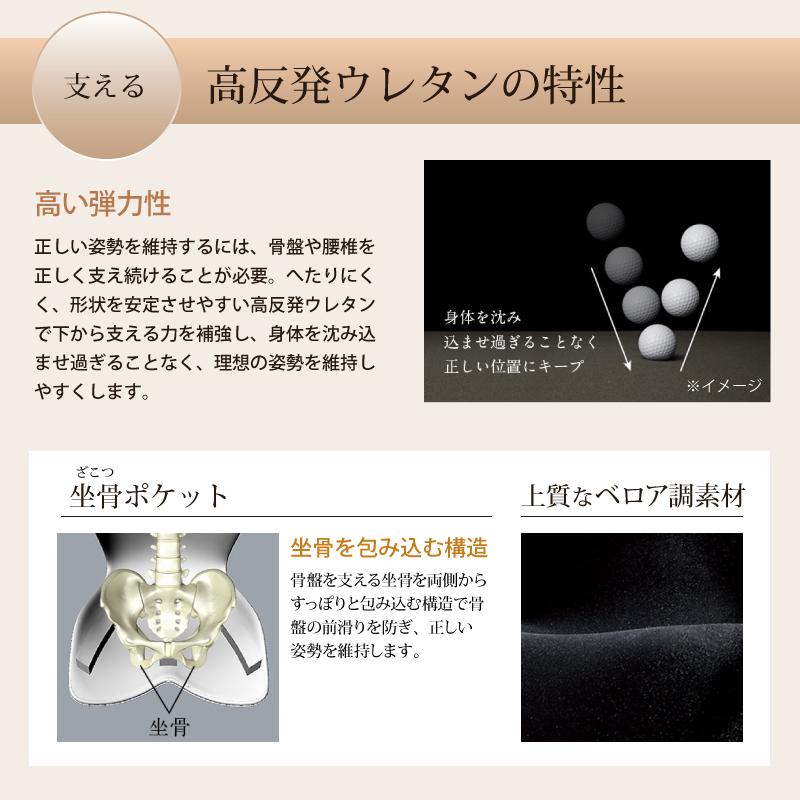 Style（スタイル） 姿勢ケアシート Style PREMIUM DX プレミアム