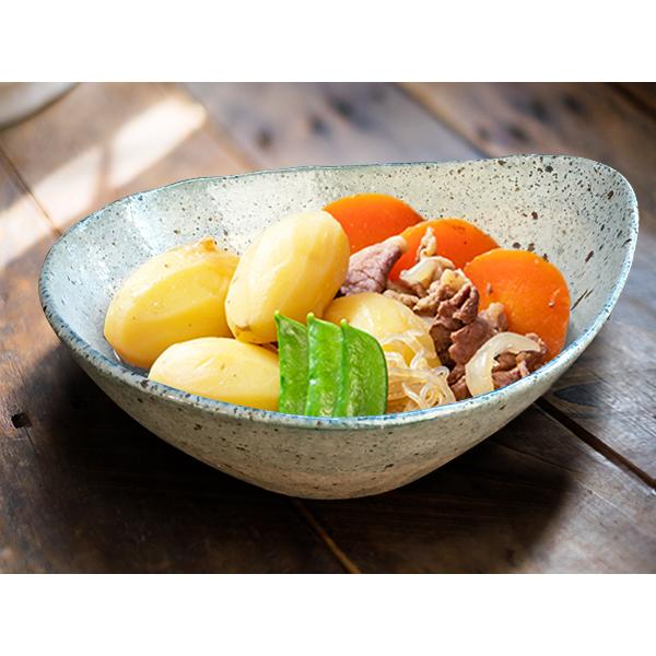 カレー皿 21cm おしゃれ アウトレット品込 三角 やや小ぶり カレー鉢