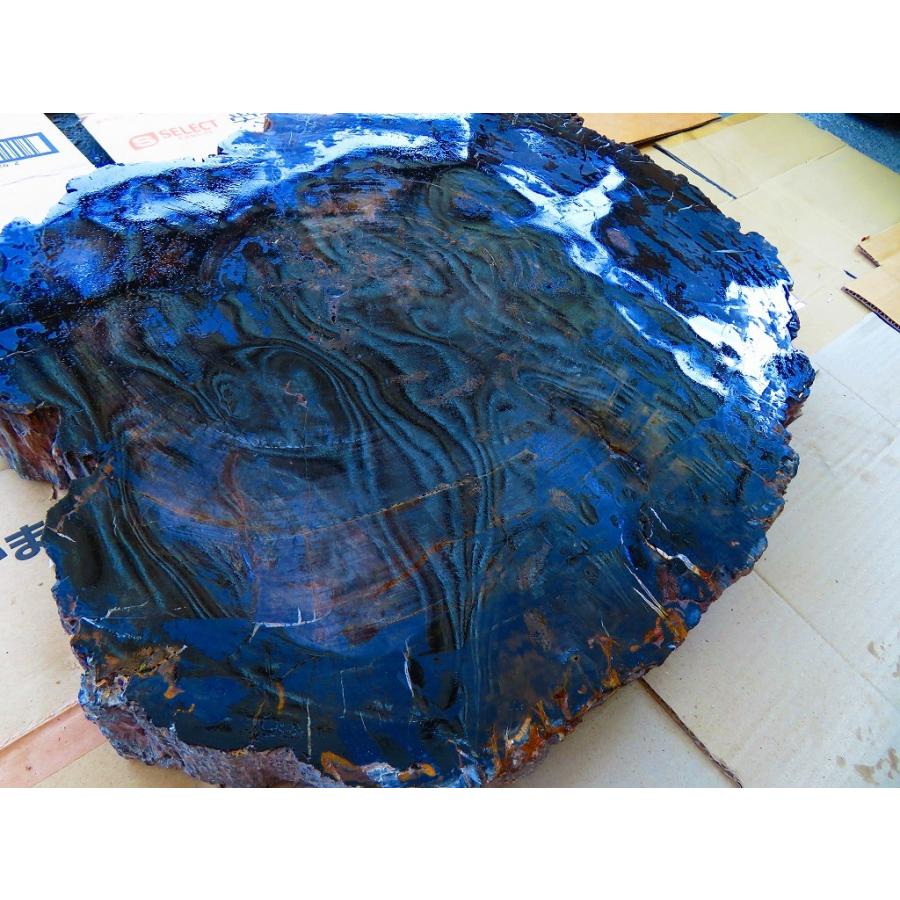 両面研磨☆絶品☆北米アリゾナ産☆化石 珪化木 10000分の1の 三畳紀