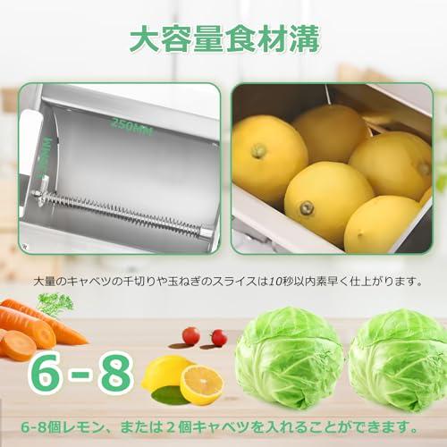 Huanyu 電動スライサー 業務用野菜スライサー 電動・手動両用 厚さ0