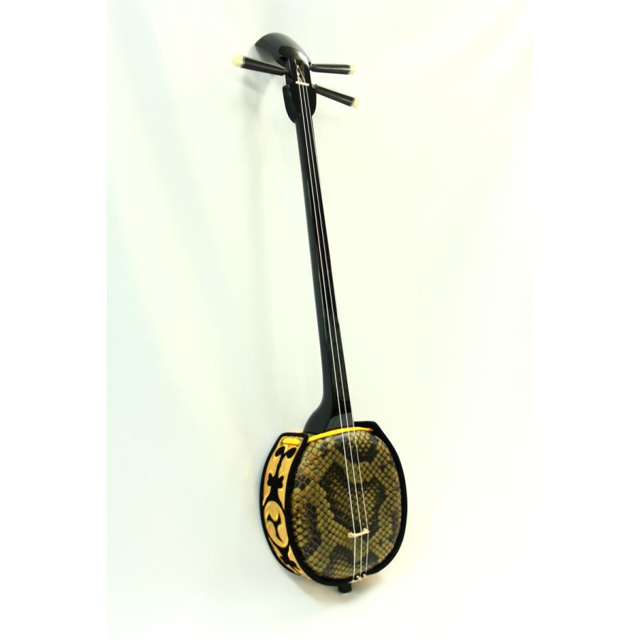 三線セット 沖縄三線初心者A 11点セット（人工皮＋ソフトケース）沖縄