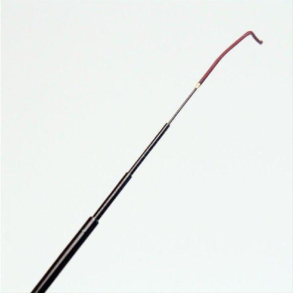 プロマリン（PRO MARINE） CB 極光タナゴ 80(hd-326566) : 船竿 沖釣り