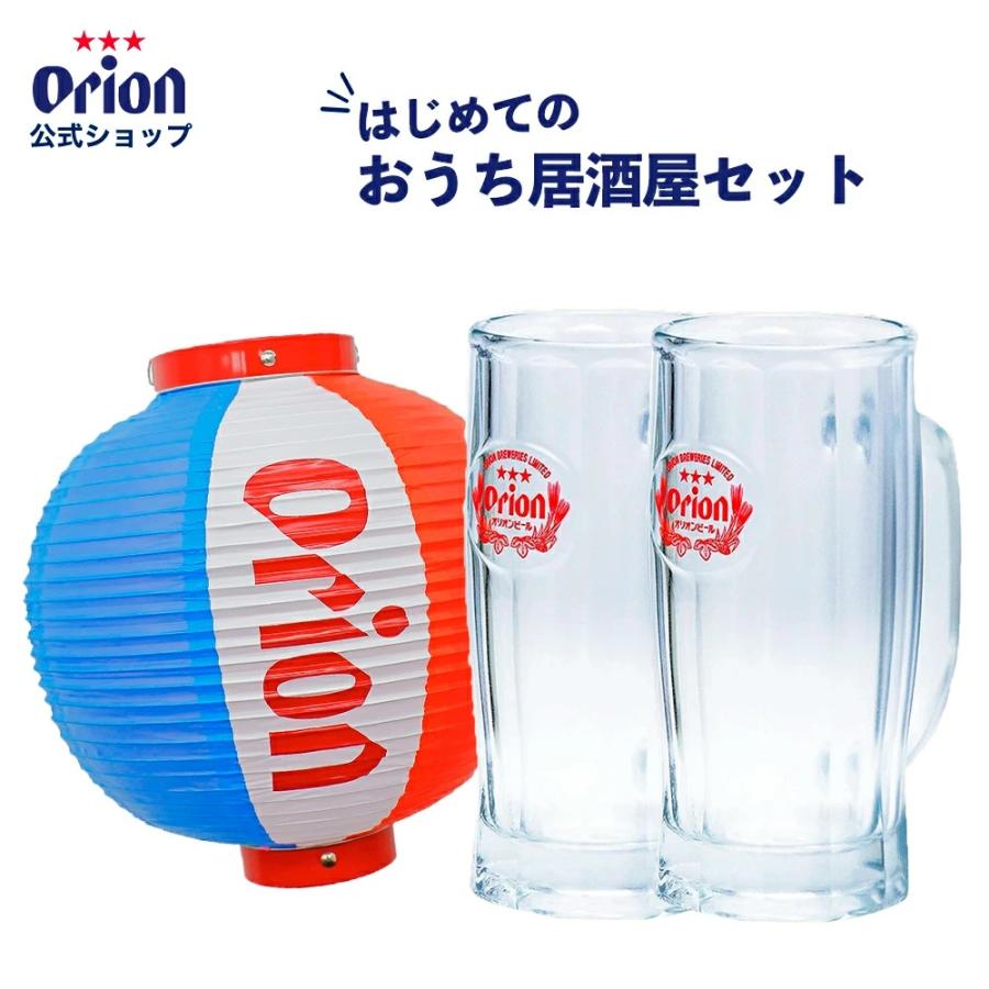 提灯 ちょうちん ビールジョッキ オリオンビール はじめてのおうち