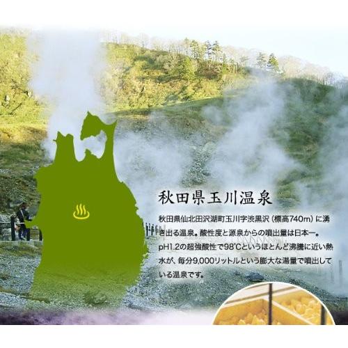 家庭用温浴器】玉川の湯けむり（オリジナル）【玉川温泉湯の花