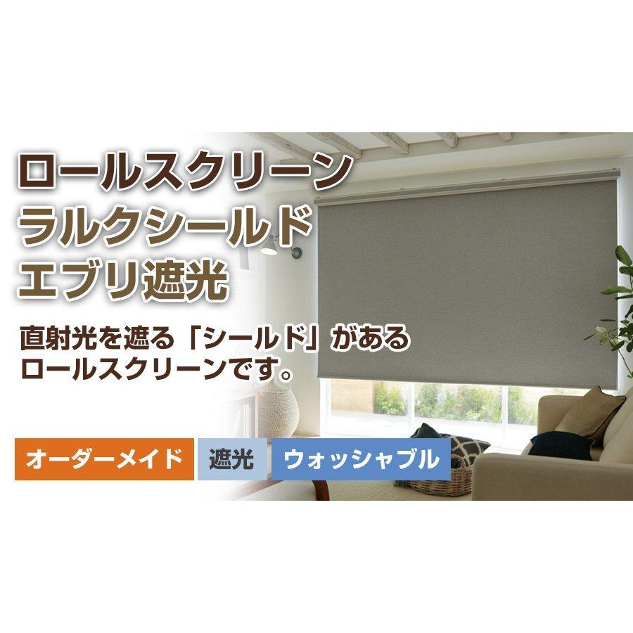 ロールスクリーン ロールカーテン 【ラルクシールド タチカワ