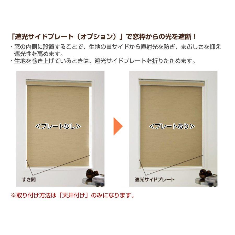 ロールスクリーン ロールカーテン 【ラルクシールド タチカワ