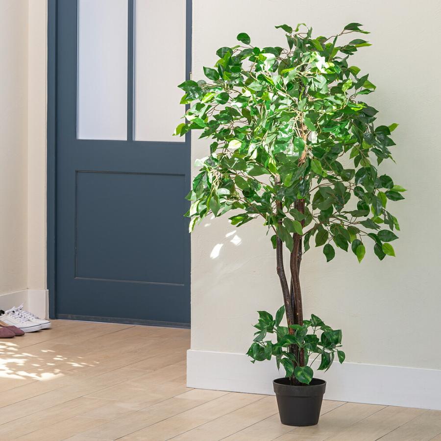 観葉植物 ベンジャミン 2本セット インテリアグリーン フェイク