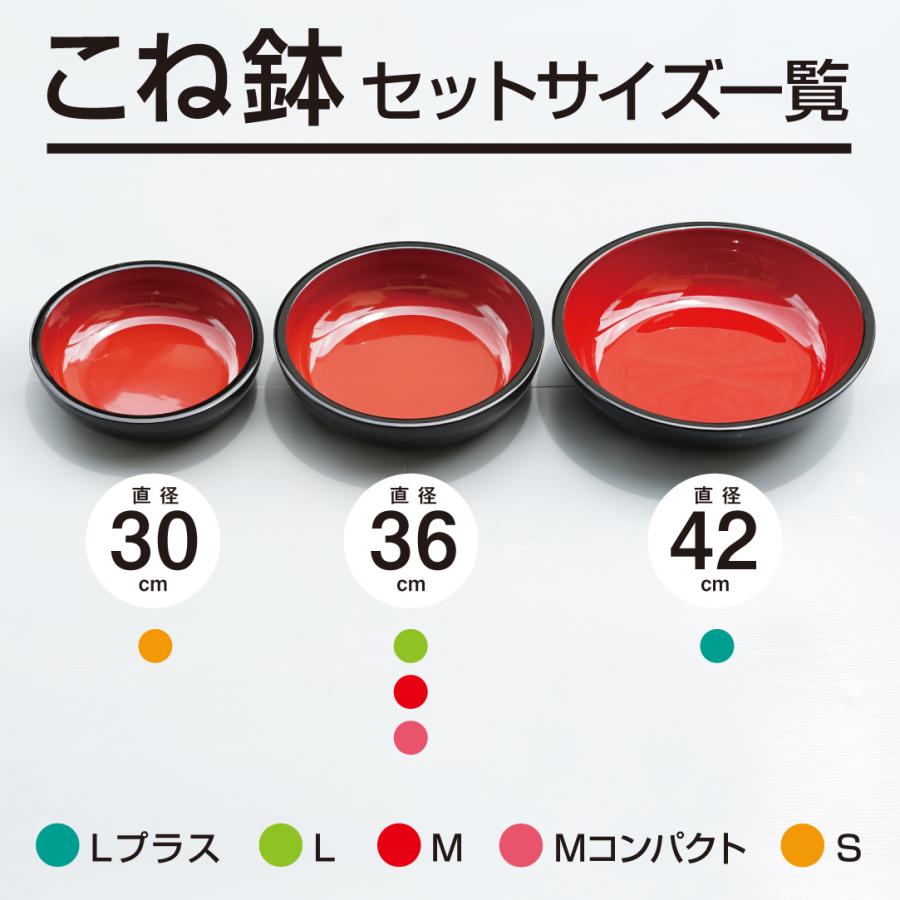 そば打ち五点セット M 4〜5人前 DVD付き 蕎麦打ち 家庭用 セット