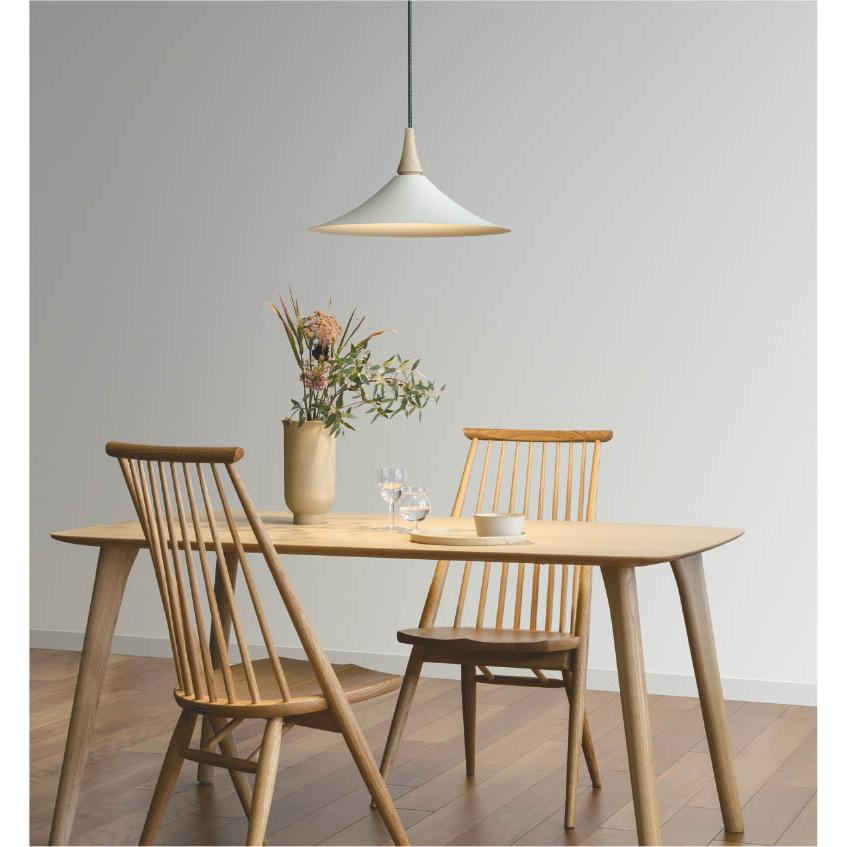 KOIZUMI（コイズミ） AP54860 ペンダントライト LED交換可能 非調光