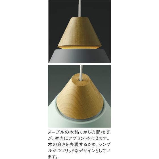 KOIZUMI（コイズミ） AP45518L ペンダントライト LED一体型 非調光 60W