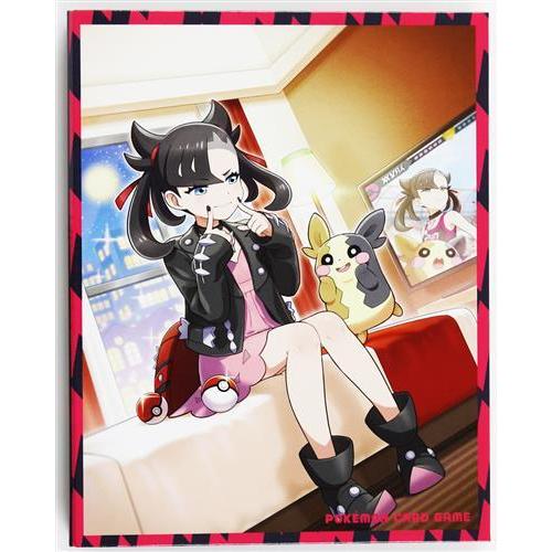 ポケットモンスター ポケモンカードゲーム ソード&シールド トレーナー