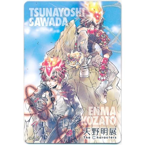 家庭教師ヒットマンREBORN マグネットステッカーコレクション 沢田綱吉