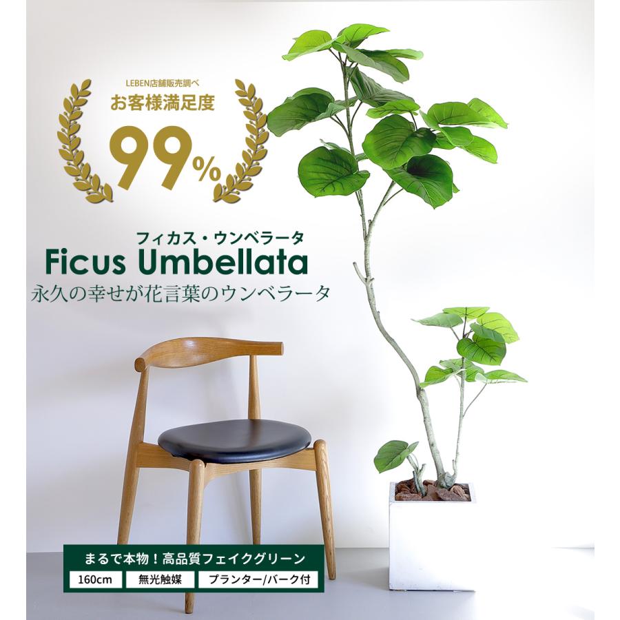 リーベン フェイクグリーン フィカス ウンベラータ 160cm 無光触媒加工