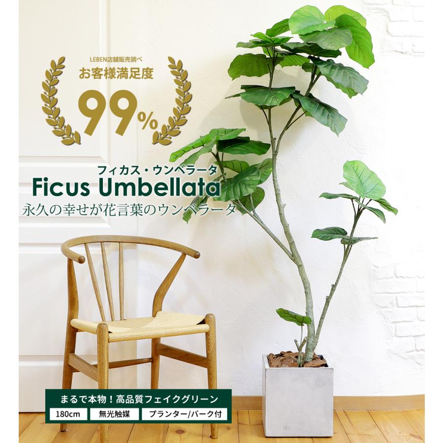 リーベン フェイクグリーン フィカス ウンベラータ 180cm 無光触媒加工