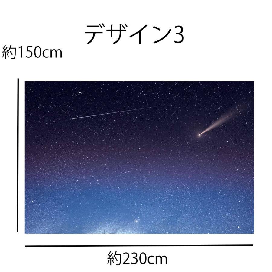 タペストリー 特大 230×150cm 星空 夜空 宇宙 流星 星座 癒し おしゃれ
