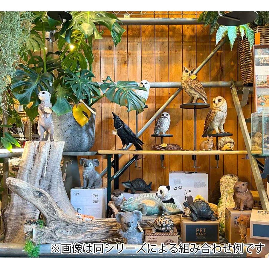 magnet オブジェ フトアゴヒゲトカゲ ペットバンク 貯金箱 （ トカゲ