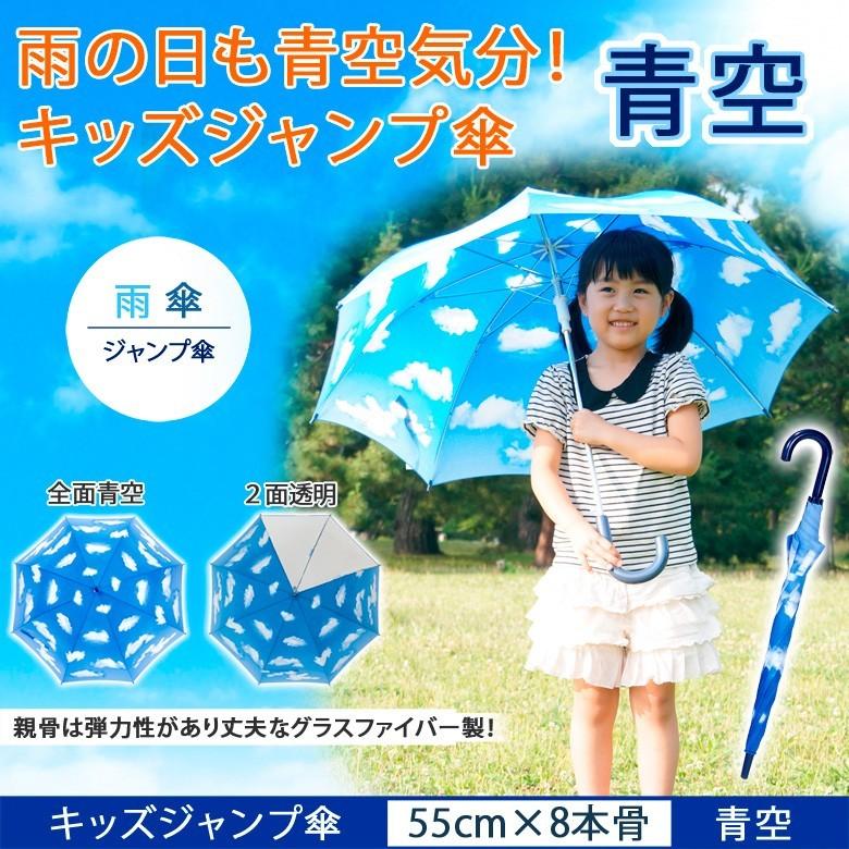 Lieben（リーベン） 傘 子供 キッズ 青空 55cm×8本骨 おしゃれ 長傘