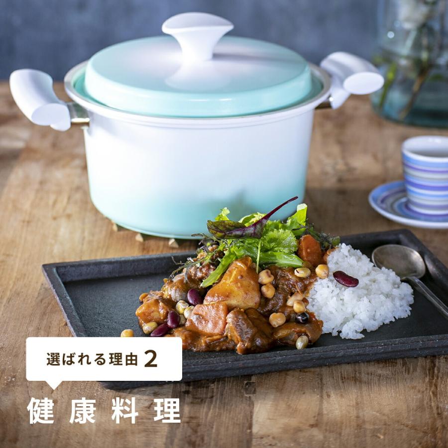 Vita Craft（ビタクラフト） 両手鍋 ライト 21cm 無水機能付き IH対応