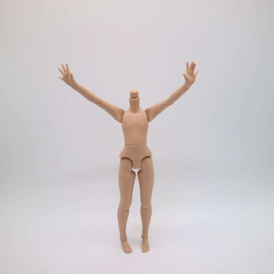 アイシードール ブライス 男の子 boy 可動ボディ 1/6ドール カスタム