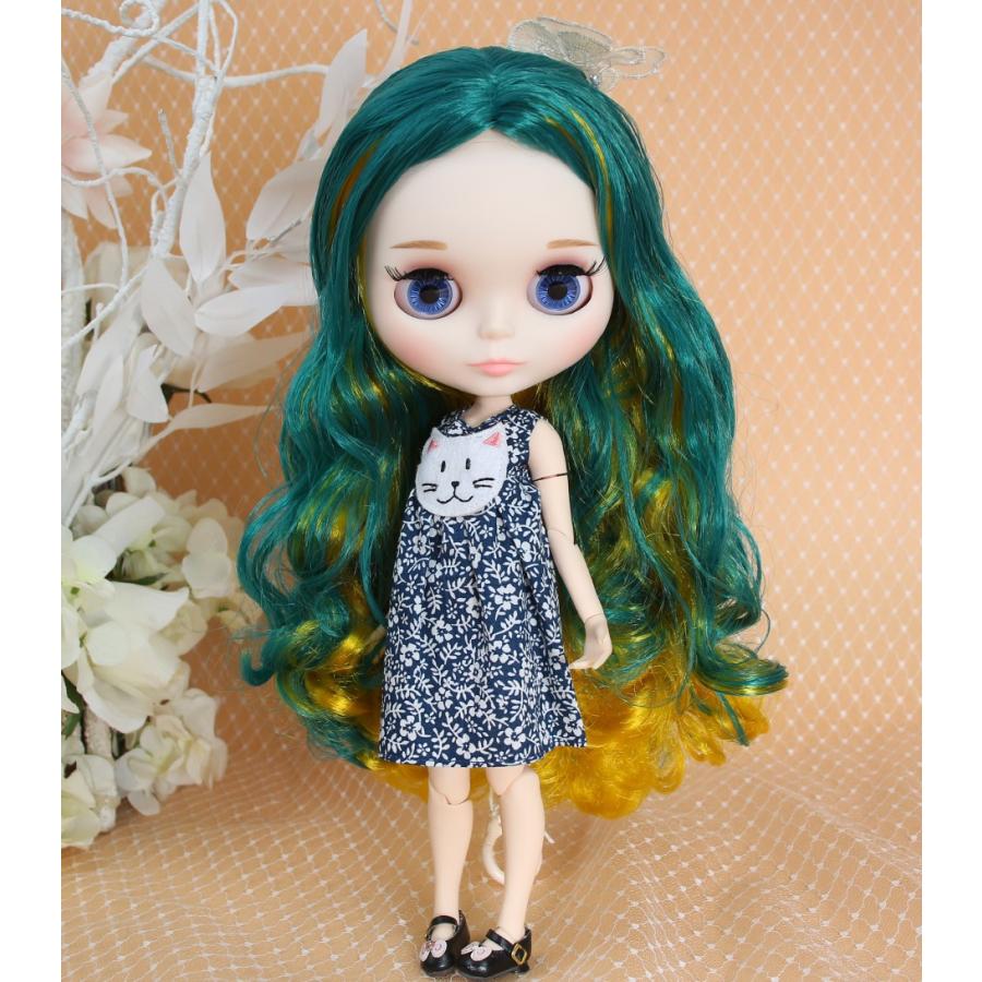 アイシードール 着せ替え人形 カスタムドール 可動ボディ 1/6ドール