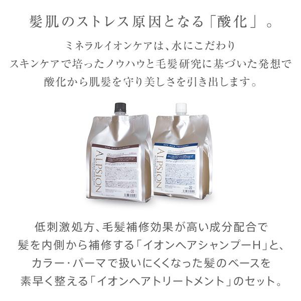 ALPSion（アルピジョン） ミネラルイオンケア イオンヘアシャンプーH