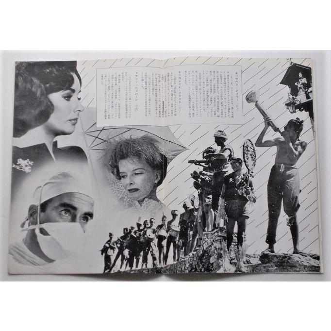 エリザベス・テイラー△去年の夏突然に：パンフレット／モンゴメリー