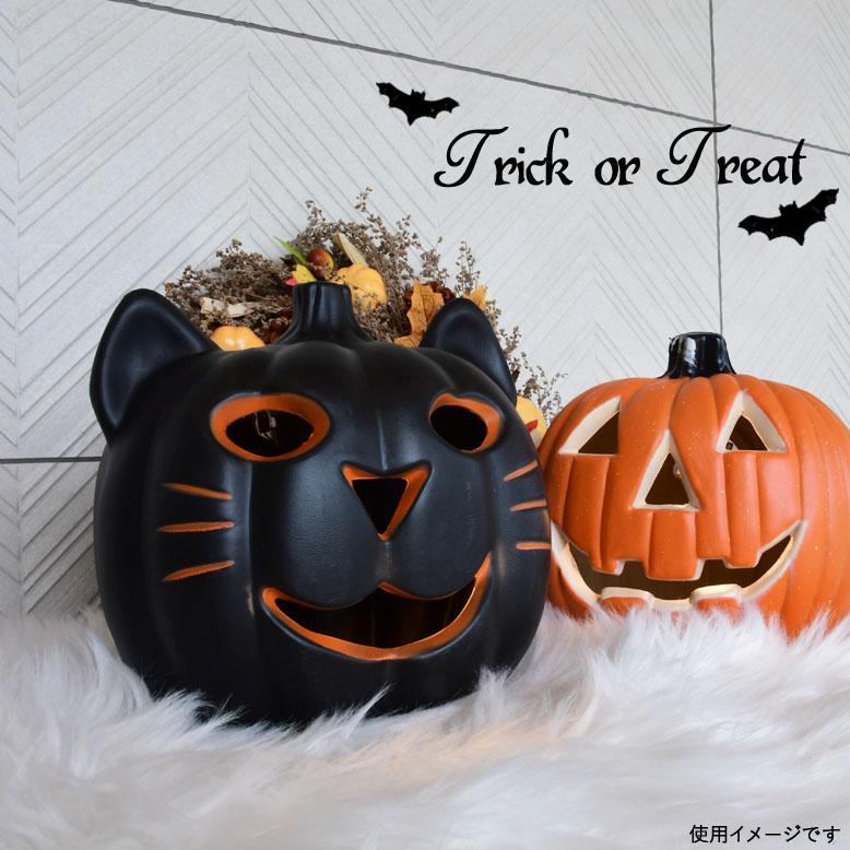 ハロウィン 猫 ねこ カボチャ かぼちゃ おしゃれ 夜 おばけ イベント