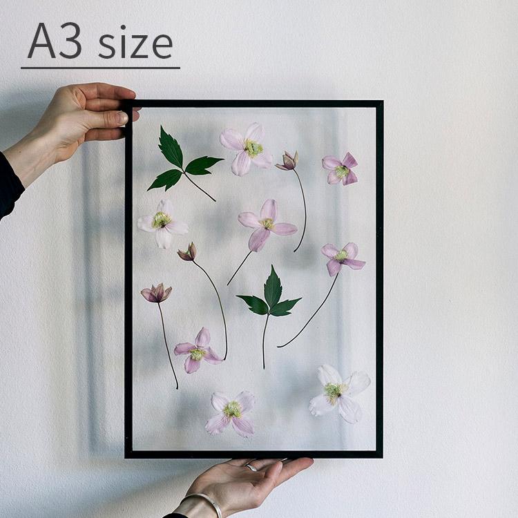 FRAME フレーム A3サイズ MOEBE ムーベ 額 額縁 長方形 写真 ポスター