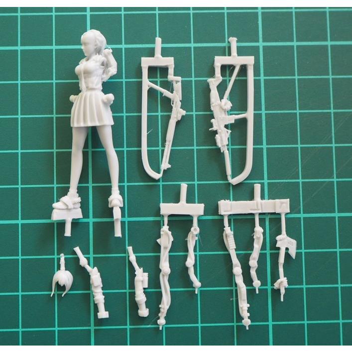 1/35 パワースーツを身に付けた盗賊団の美少女首領 未塗装 レジン製