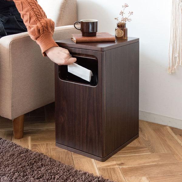 宮武製作所 ゴミ箱 おしゃれ スリム キッチン リビング 20リットル