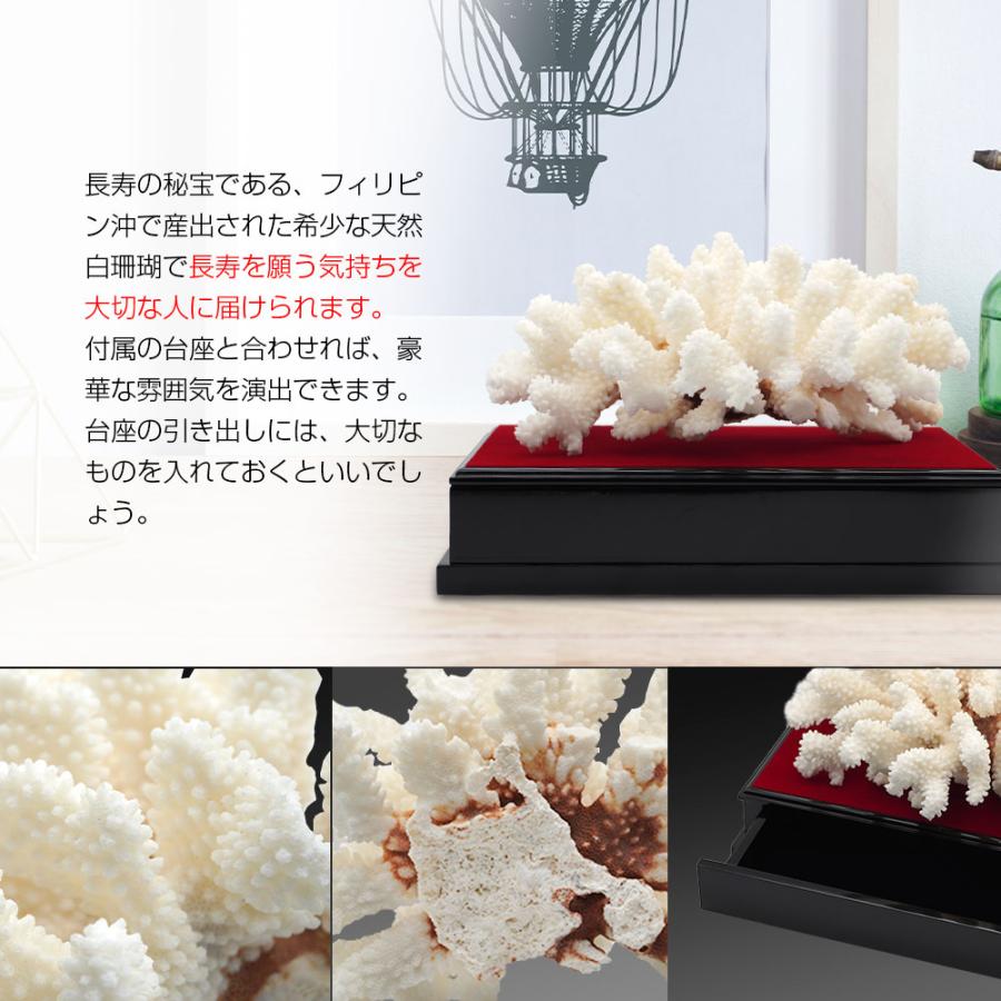 白珊瑚 サンゴ 原木 置物 オブジェ 珊瑚婚 厄除け 縁起物 還暦祝い