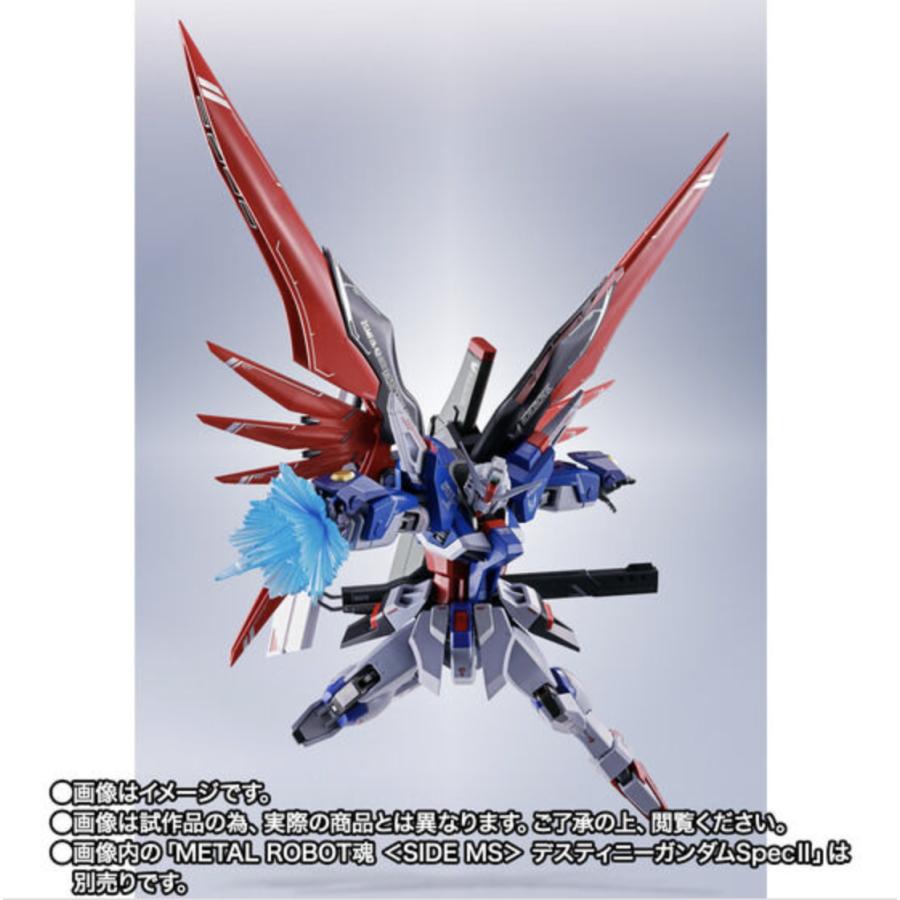 在庫品】METAL ROBOT魂 デスティニーガンダムSpecII専用光の翼