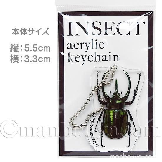 リアル 昆虫 グッズ カブトムシ アクリルキーホルダー アクキー