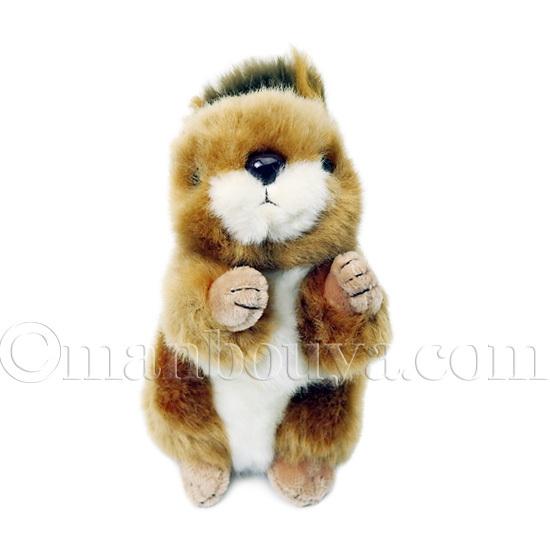 リス ぬいぐるみ 動物 キュート販売 CUTE 日本リス SS 12cm : まんぼう