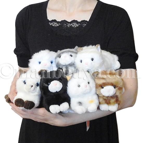 黒猫 ぬいぐるみ ネコ グッズ たけのこ TAKENOKO プチどりーむミニ