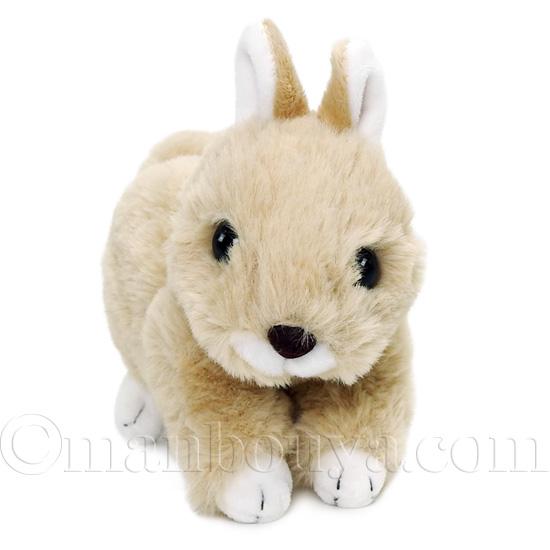 うさぎ ぬいぐるみ ふわふわ テイクオフ マロン ネザーランドドワーフ