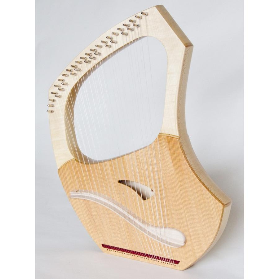 コロイ ソプラノライアー スチューデント 35弦マット（ケース付