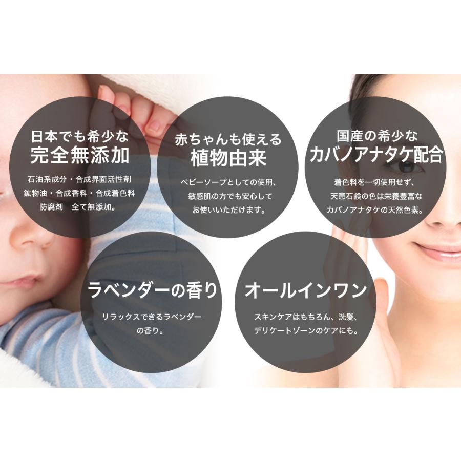 正規代理店 天恵クオリティソープ 80g プラスケア サロン品質 100%植物