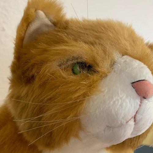 カドリー ねこ ぬいぐるみ わさ美【Cuddly／wasabi／ヌイグルミ／猫