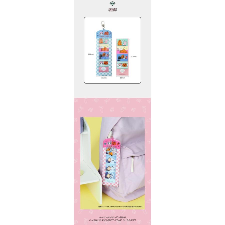 SEVENTEEN 公式グッズ BONGBONGEE x MUZIK TIGER 4カットフォト