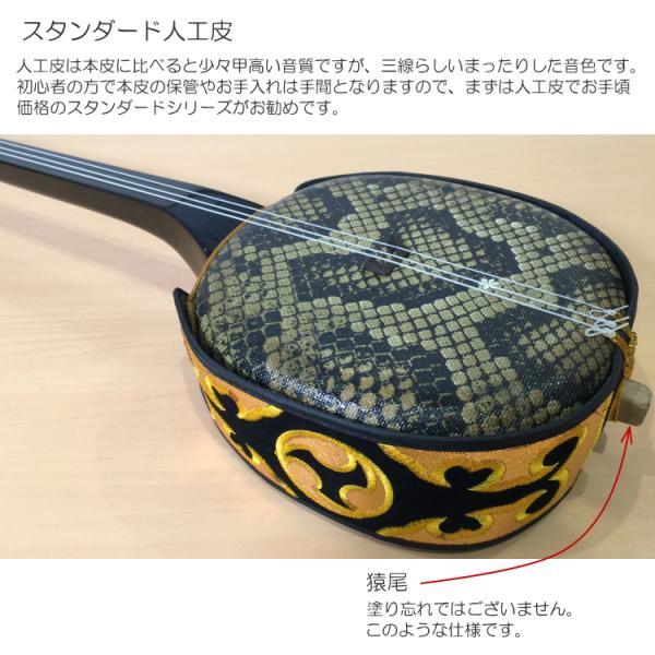 沖縄三線 スタンダード人工皮 初心者向けセット Bセット : 音響機材と