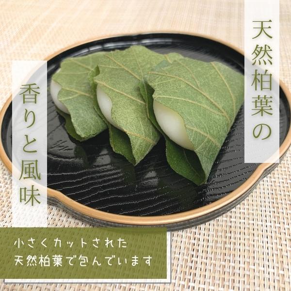 徳用 柏もち 20個入 冷凍 かしわ餅 : エムフーズ - 通販 - Yahoo