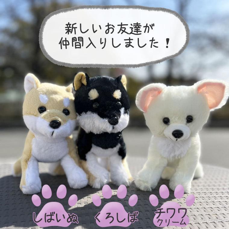 わんプチセット プリザーブドフラワー ぬいぐるみ 犬 プリザ 花 ギフト