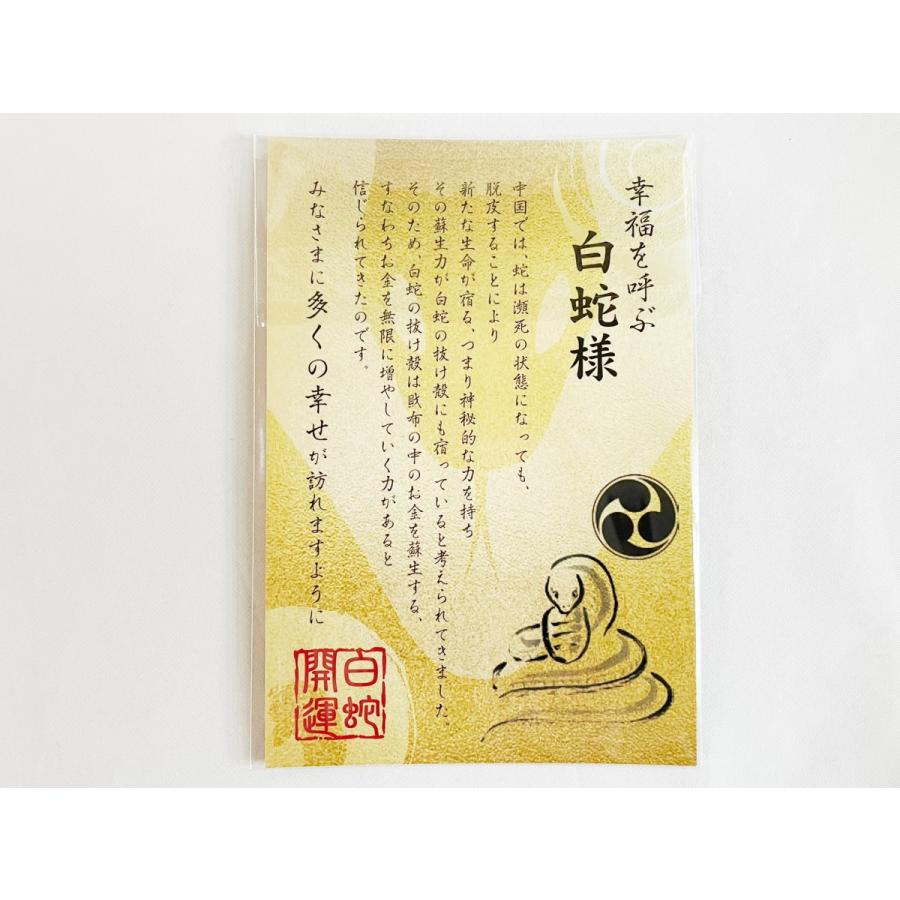 白蛇 ラミネート加工 【腹】 抜け殻 祈願 ご利益 縁起物 財布 金運