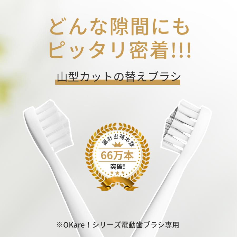 山型 替えブラシ 3本セット デュポン社製ナイロン Epeios ET003 ET005